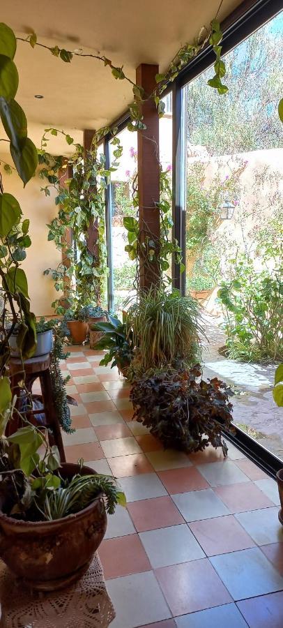 فيلا Casa Santa Lucia تيلكارا المظهر الخارجي الصورة